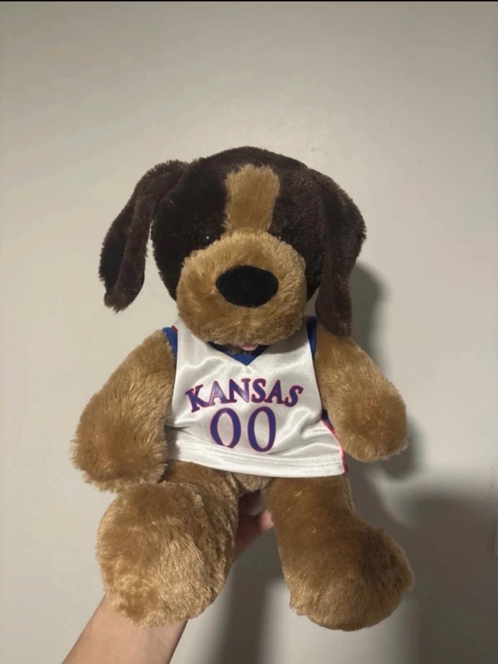 BAB Brown Plush Dog in White Kansas Jersey